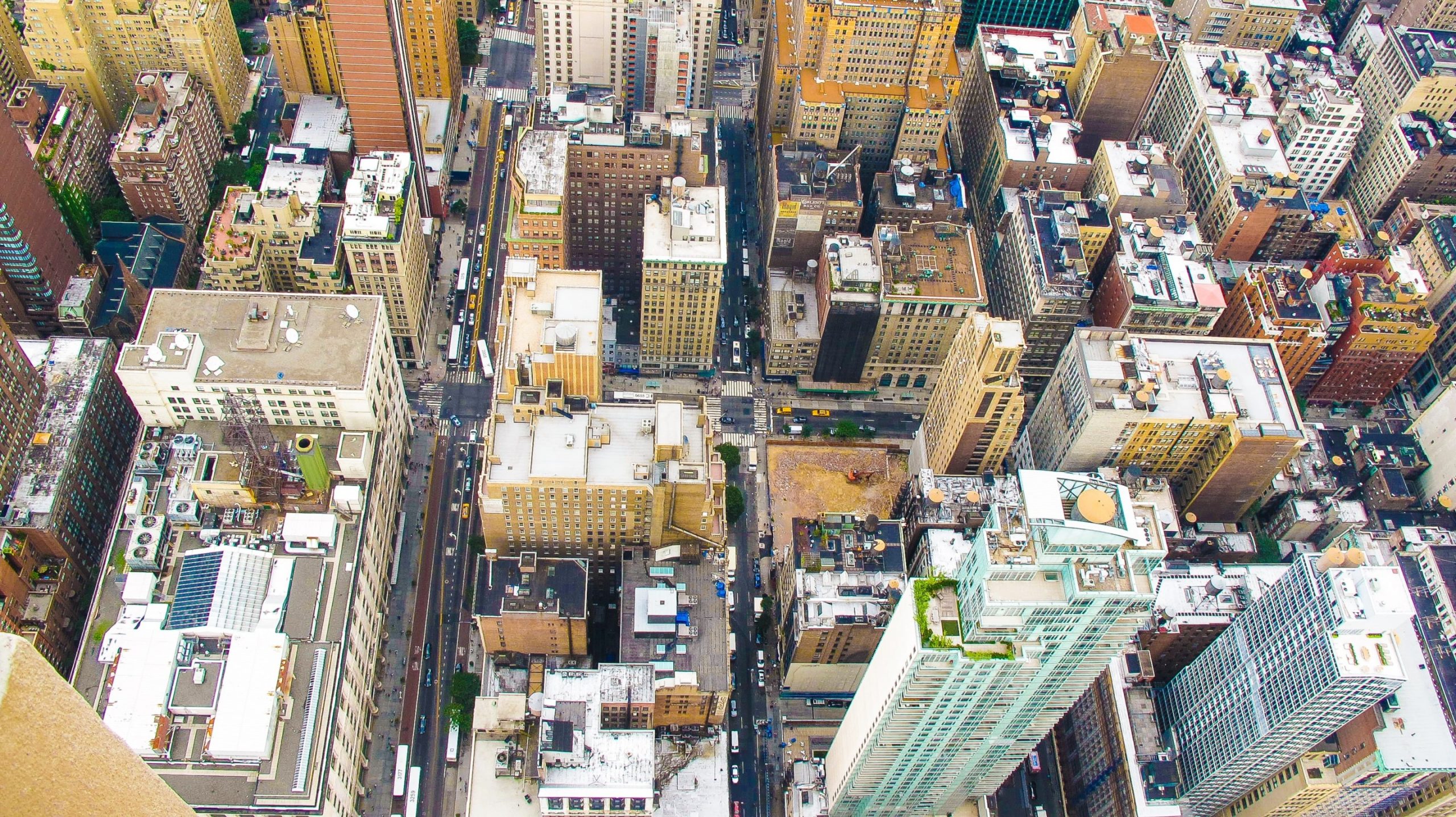 Skyline of NYC with white rooftops, candidates for the whitest-white paint